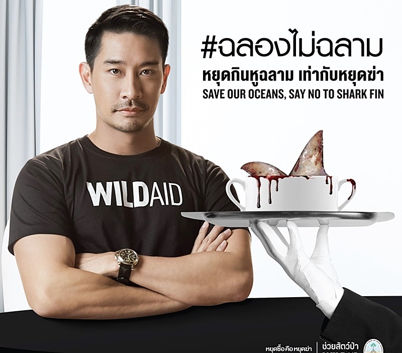 ฉลองไม่ฉลาม 