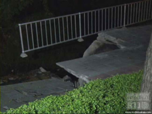 ทางเดินเท้าพระราม3ทรุด