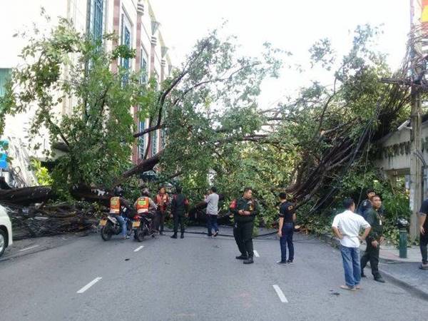 เสาไฟฟ้าล้มทับคน