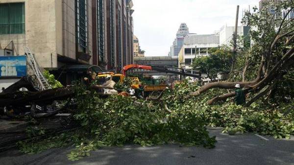 เสาไฟฟ้าล้มทับคน