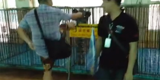 ถีบลูกเสือขณะป้อนนม