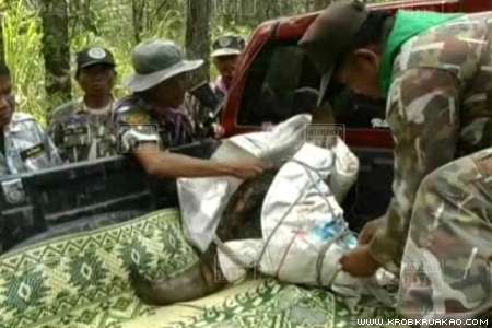 พรานป่ายิงกระทิงดับ 2 คาเขตรักษาพันธุ์สัตว์ป่า