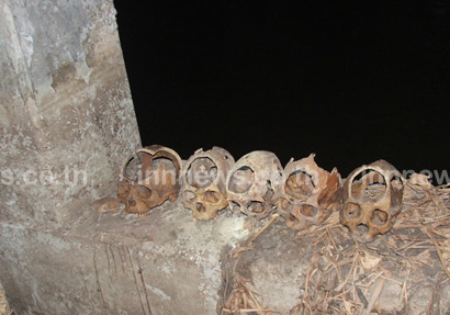 พบกะโหลกคน 5 หัว