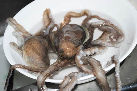 ซันนักจิ