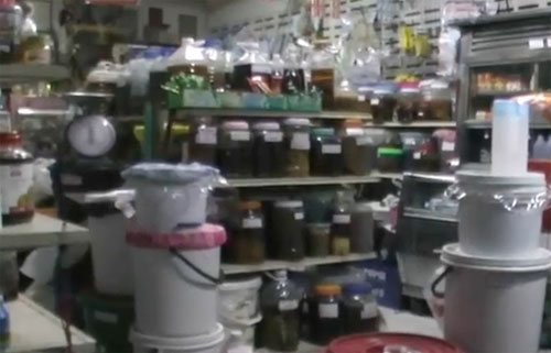 อย. บุกจับลอบขายน้ำหมักฯ เครือข่ายป้าเช็ง