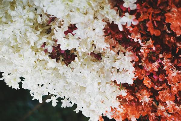 ซุ้มดอกไม้เพื่อพ่อ