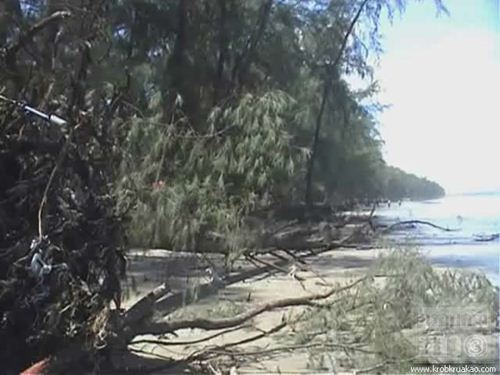 ตรังดันสร้างเขื่อน หลังน้ำเซาะหาดปากเมงเข้าขั้นวิกฤติ