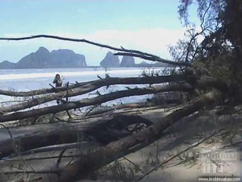ตรังดันสร้างเขื่อน หลังน้ำเซาะหาดปากเมงเข้าขั้นวิกฤติ