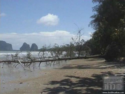 ตรังดันสร้างเขื่อน หลังน้ำเซาะหาดปากเมงเข้าขั้นวิกฤติ