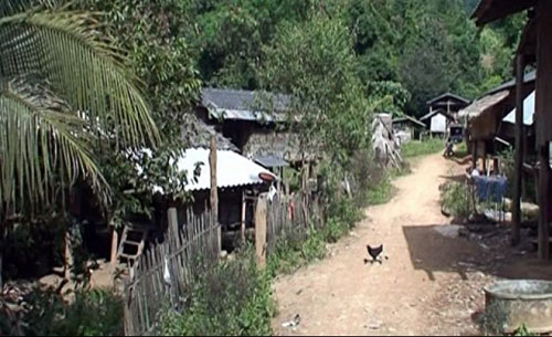 นามสกุล ยาง ทั้งหมู่บ้าน