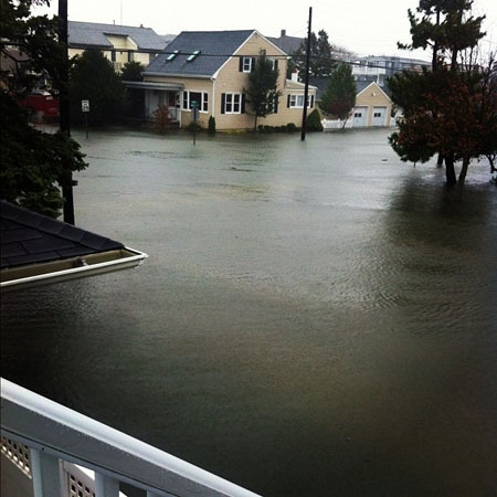 พายุเฮอริเคน แซนดี้