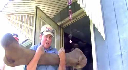 ชายมะกันขุดพบโครงกระดูกแมมมอธหมื่นปีในสวนหลังบ้าน 