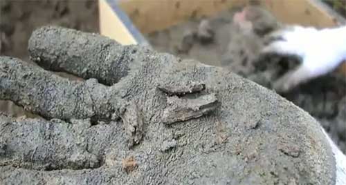 ชายมะกันขุดพบโครงกระดูกแมมมอธหมื่นปีในสวนหลังบ้าน 