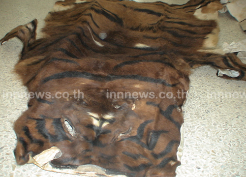 เจ้าอาวาสวัดดัง ซิ่งรถขนหนังเสือตากแห้ง อ้างญาติโยมถวาย