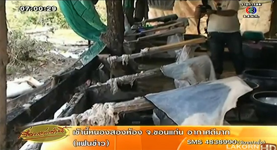 บุกทลายแหล่งฟอกหนังสุนัข สกลนคร ใช้ทำถุงมือกอล์ฟ-กระเป๋าแบรนด์เนม