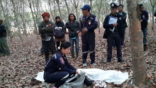 ช้างป่ากระทืบลูกสาวดับต่อหน้าต่อพ่อ 