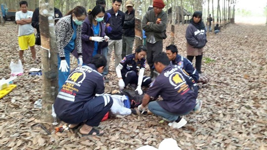 ช้างป่ากระทืบลูกสาวดับต่อหน้าต่อพ่อ 