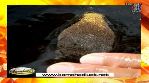 ชาวนราธิวาสขุดร่อนทอง พบทองคำบริสุทธิ์ 94%