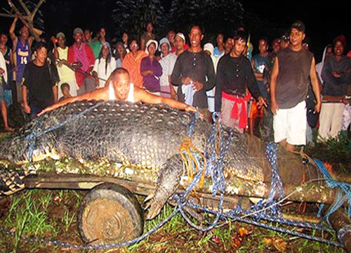 กินเนสส์ บุ๊ก รับรองจระเข้ฟิลิปปินส์ใหญ่สุดโลก