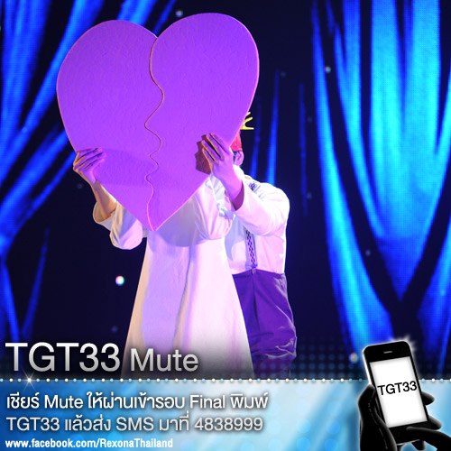 TGT33 mute