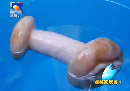 จีนขุดพบเห็ดประหลาด ที่แท้อุปกรณ์ช่วยตัวเอง