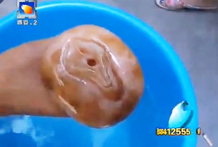 จีนขุดพบเห็ดประหลาด ที่แท้อุปกรณ์ช่วยตัวเอง