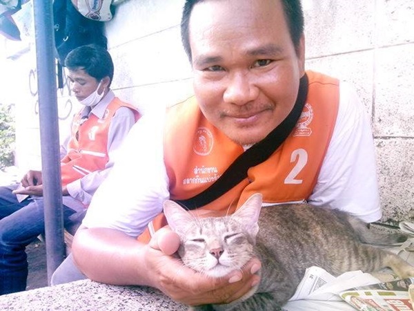 เดชชาติ พวงเกษ