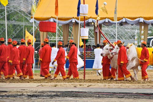 พระราชพิธีพืชมงคล 2555