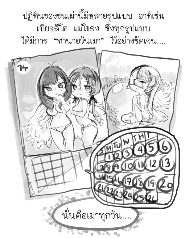 เรื่องจริงของชนเผ่าเมายัน