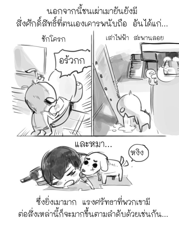 เรื่องจริงของชนเผ่าเมายัน