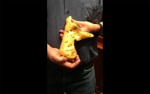 นักสำรวจแร่ออสซี่ ขุดพบทองคำก้อนยักษ์ มูลค่ากว่า 9.3 ล้าน