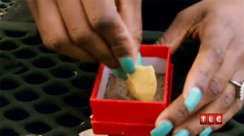 คนกินทราย