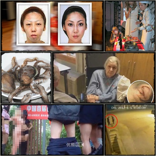 10 เรื่องแปลกที่ฮือฮาที่สุดในปี 2012