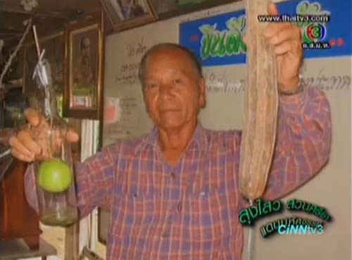 ลุงไสว ศรียา