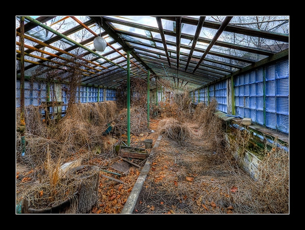 โศกนาฏกรรมเชอร์โนบิล