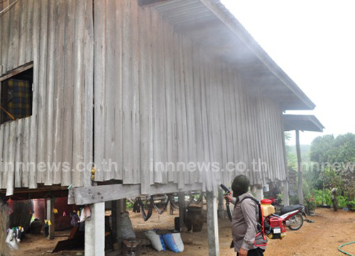 แมลงปีกแข็ง บุกยึดบ้าน จ.ตาก 