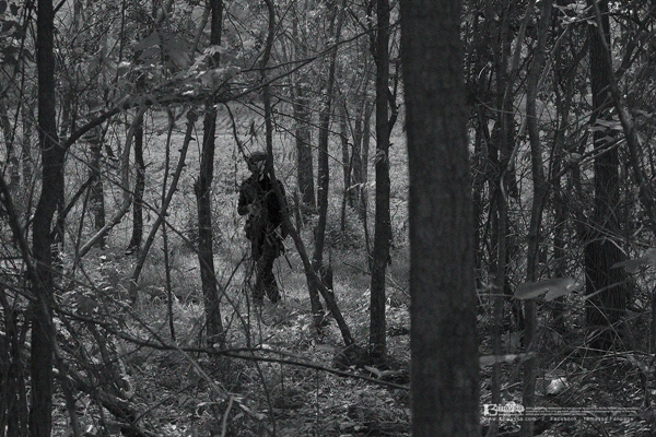 สารคดีภาพชุด ภารกิจของเหล่าทหารกล้า ผู้เสียสละเพื่อแผ่นดิน