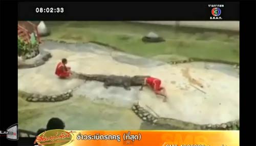 จระเข้งับหัวนักแสดง 