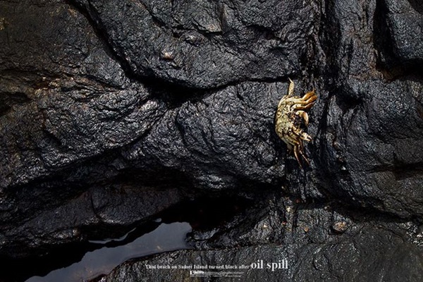 น้ำมันรั่ว เกาะเสม็ด