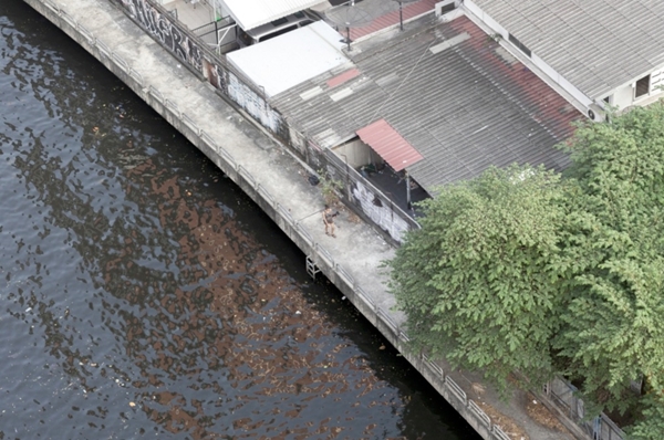 เตือนภัย แก๊งเด็กดมกาว สะพานชิดลม