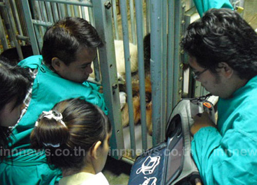 หลินฮุ่ยท้อง