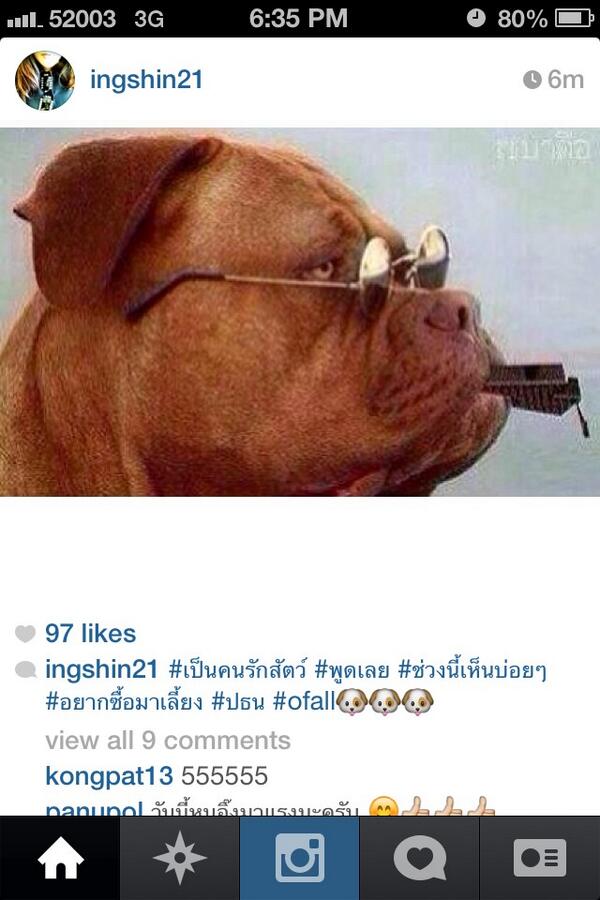 อุ๊งอิ๊ง โพสต์รูปหมาใส่แว่นเป่านกหวีด บอกเป็นคนรักสัตว์ อยากซื้อมาเลี้ยง