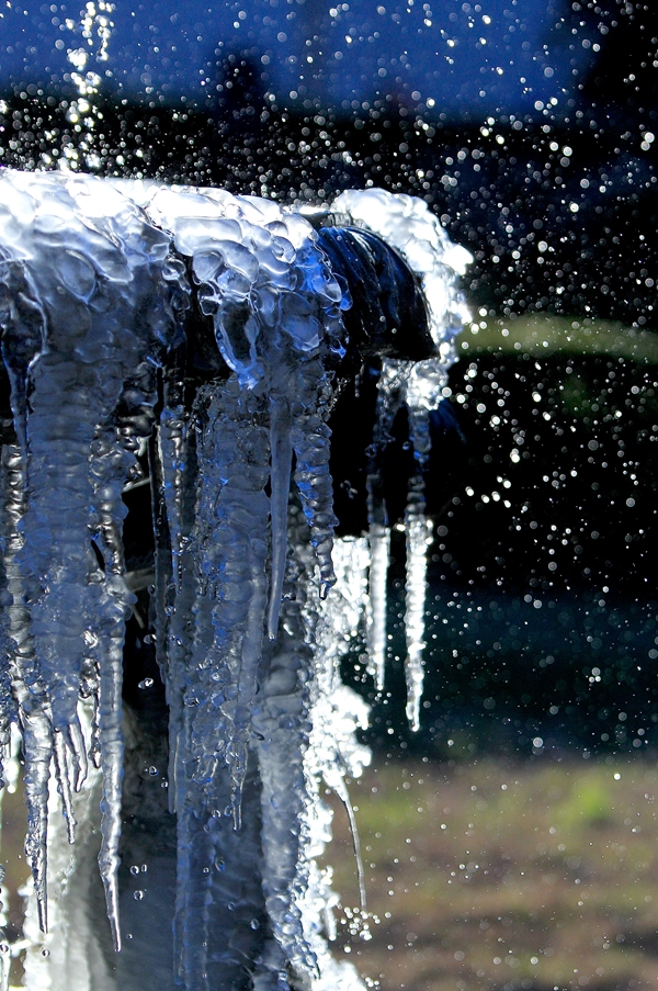 พายุหิมะ อเมริกา