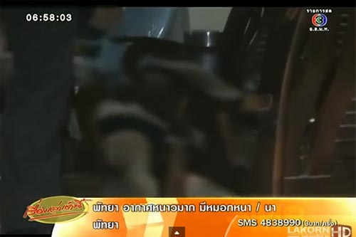 คลิป สามียิงภรรยาคนที่ 4 ดับคาวงเหล้า โทรบอกแม่ผู้ตายก่อนยิงซ้ำอีกนัด