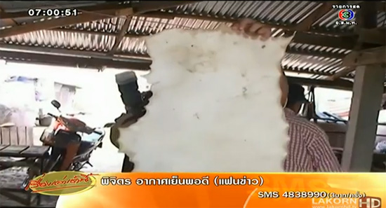 บุกทลายแหล่งฟอกหนังสุนัข สกลนคร ใช้ทำถุงมือกอล์ฟ-กระเป๋าแบรนด์เนม