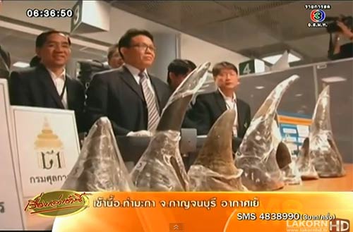 สุวรรณภูมิตรวจยึดนอแรด เคนยา 21 ล้าน เตรียมส่งเวียดนาม
