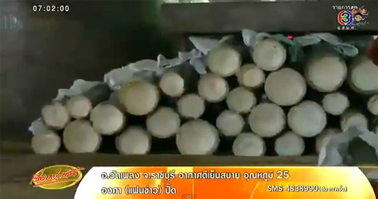 ชาวเมืองสกลนครจับผีปอบได้อื้อ 600 กว่าตน