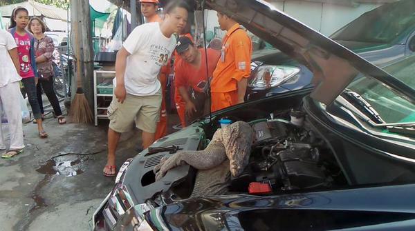 ตัวเงินตัวทองมุดกระโปรงหน้า ติดคาห้องเครื่อง