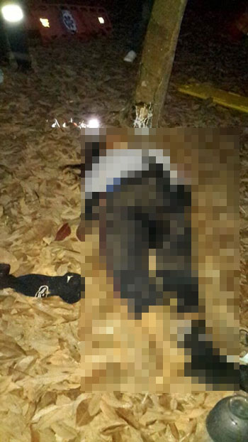 ช้างป่ากระทืบลูกสาวดับต่อหน้าต่อพ่อ 