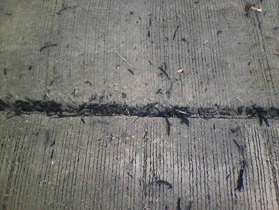 ประชด แชร์ว่อน หิมะดำ ตกที่แม่สอด เขม่าควันลอยฟุ้ง